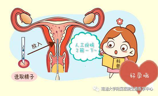 受孕成功