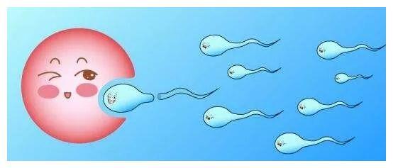 受孕前男人