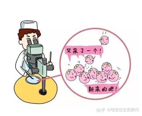发育迟缓