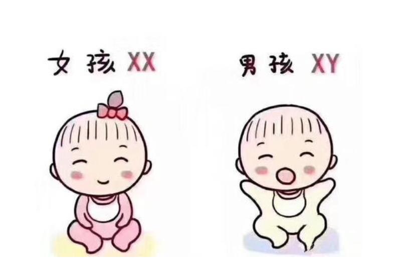 发现怀孕