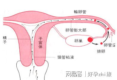 意外怀孕