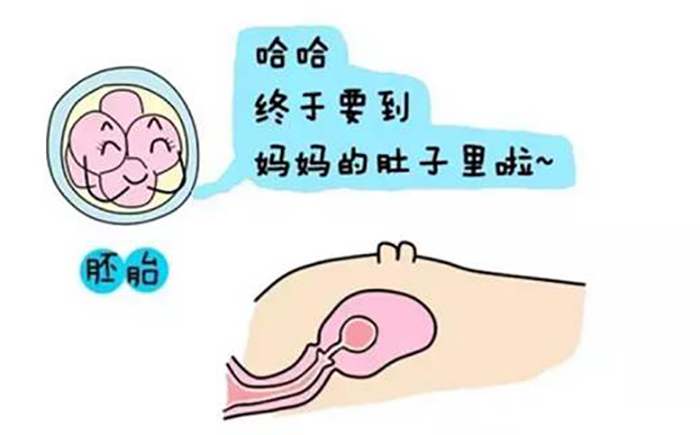 受孕体质