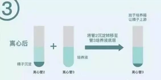 受孕多少天可以查出来