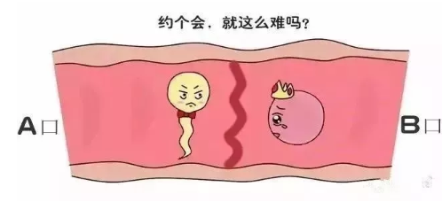 受孕成功