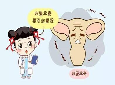 双顶径