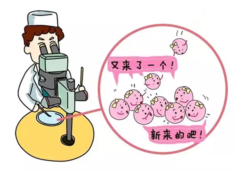 受孕成功