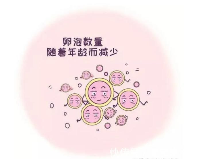 受精卵着床