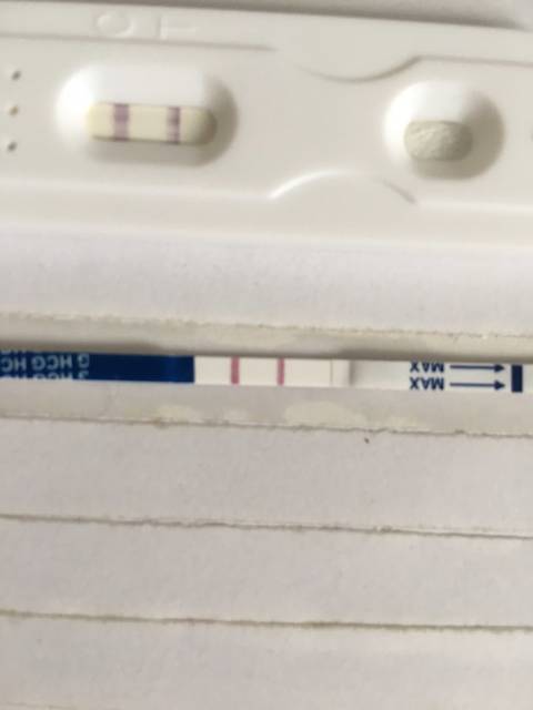 受精卵着床出血