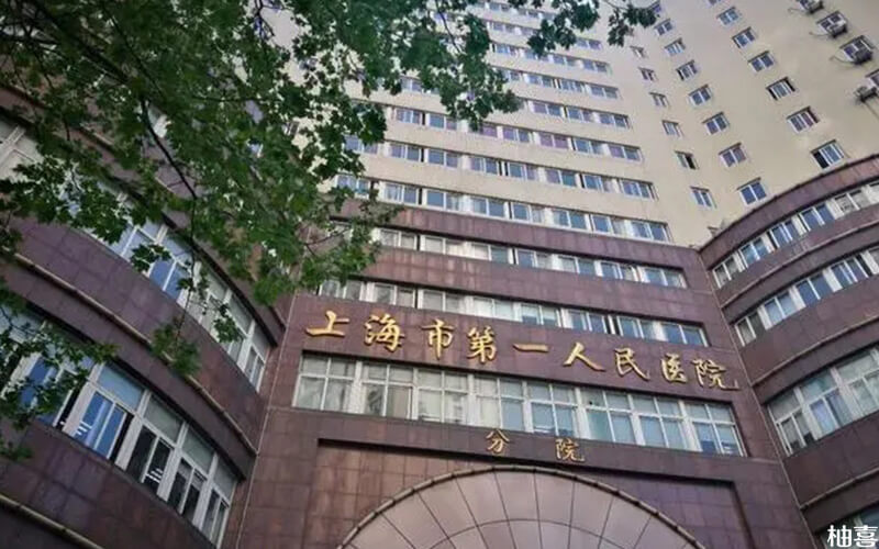 受精卵着床