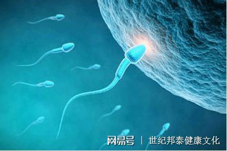 受精卵着床