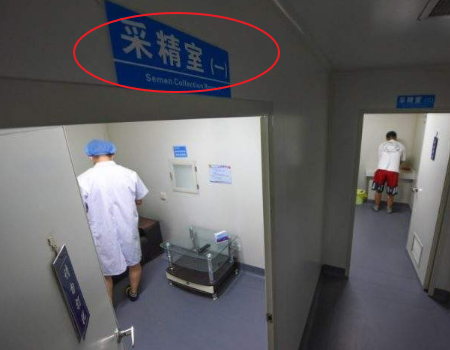 受精卵着床
