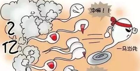 受精卵着床