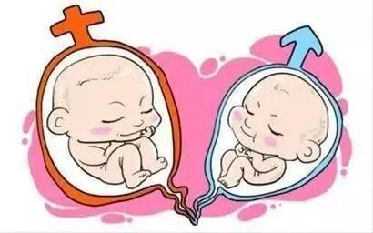 受精卵着床