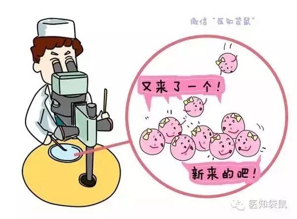 受精卵着床