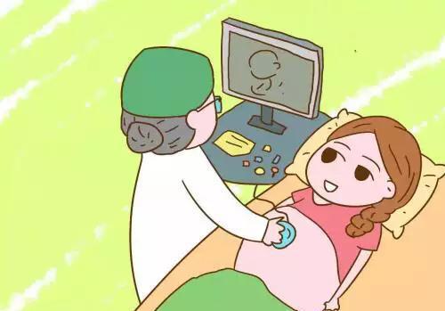 受精卵着床