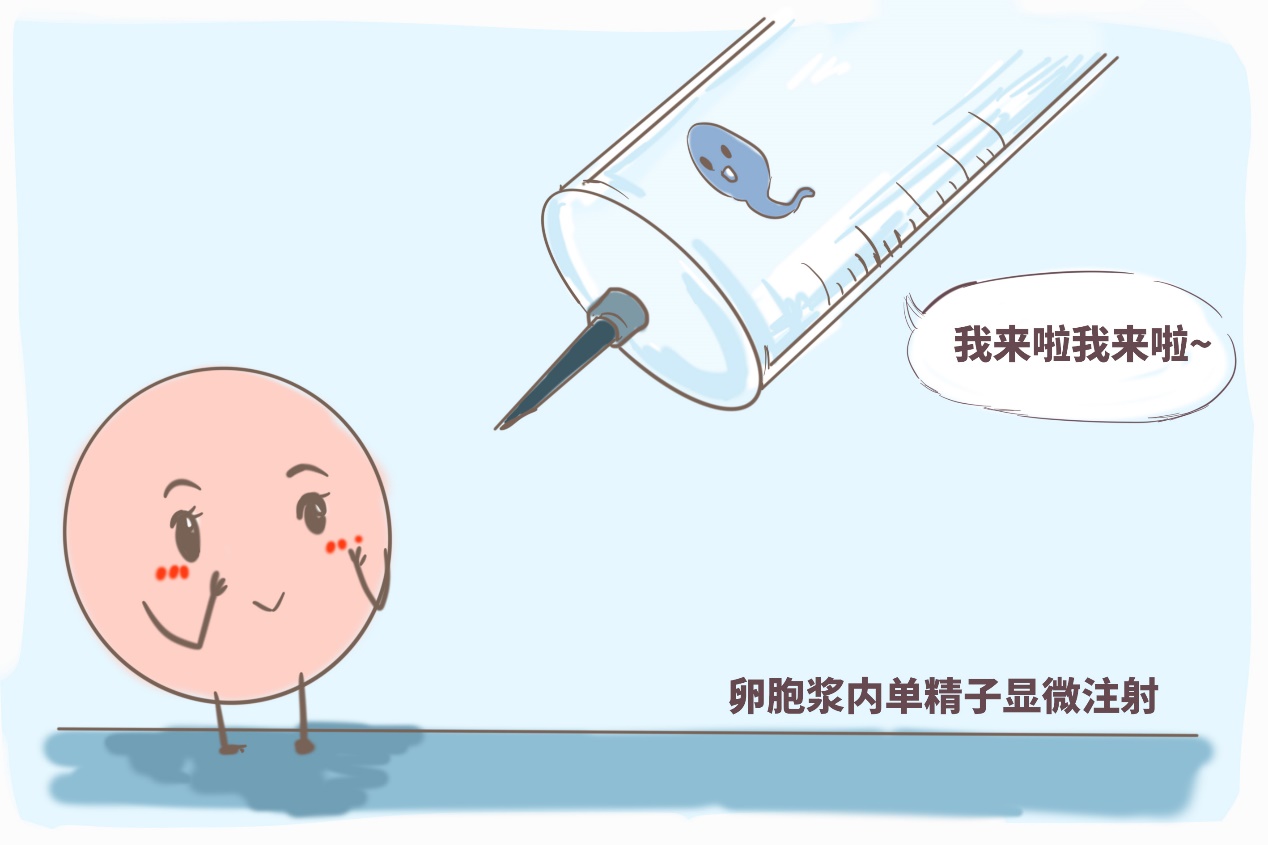 受精卵着床