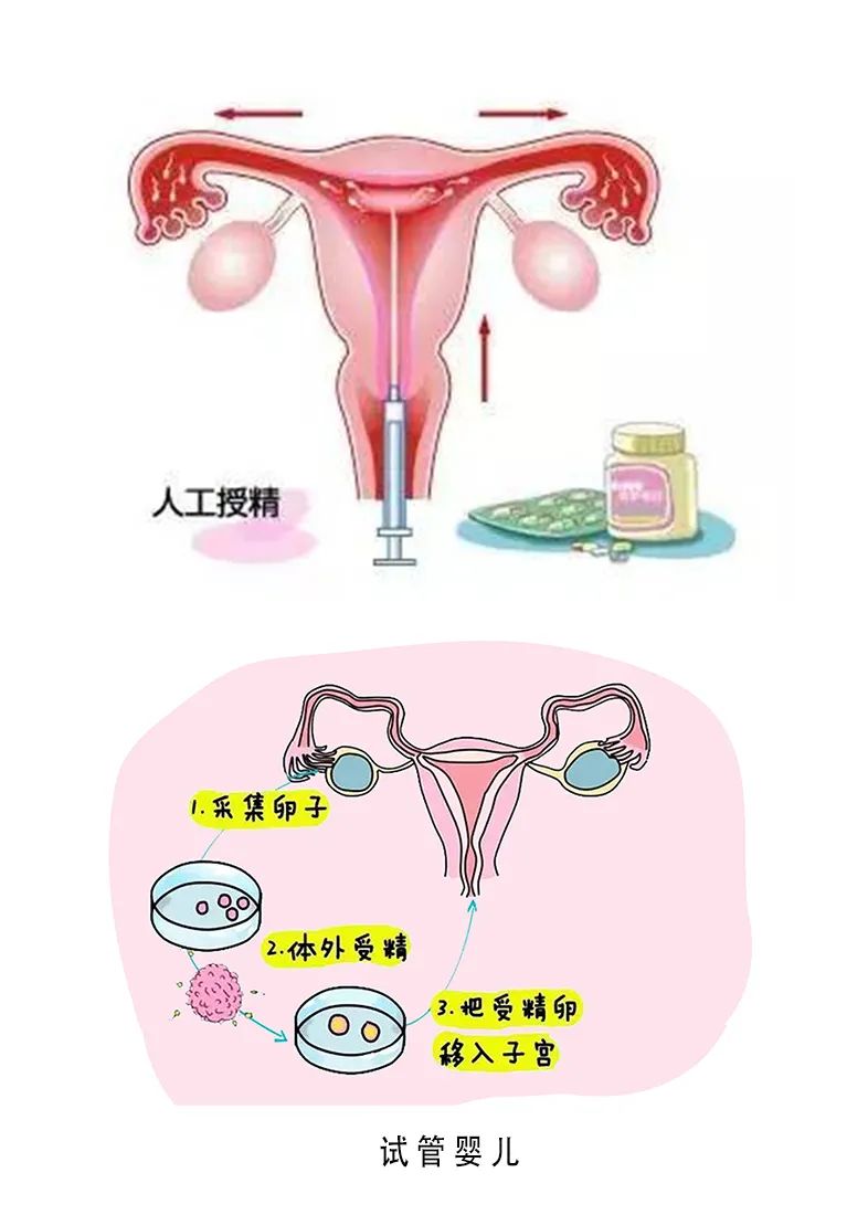 叶酸