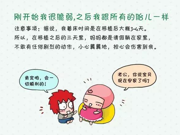 受精卵着床