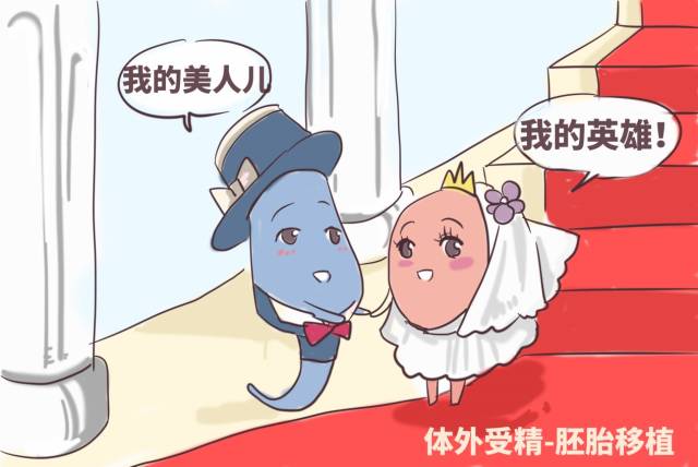 受精卵着床
