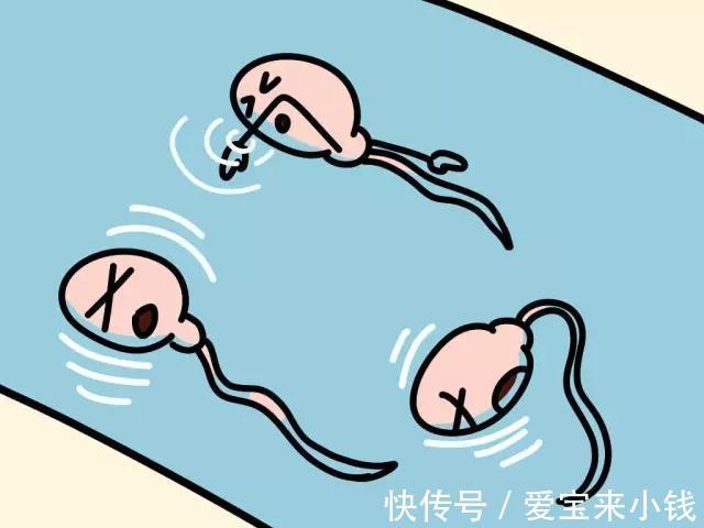 受精卵着床