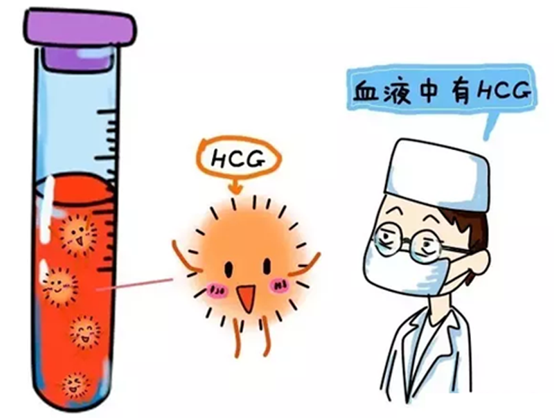 受精卵着床出血