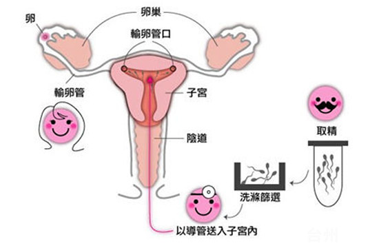 可口可乐