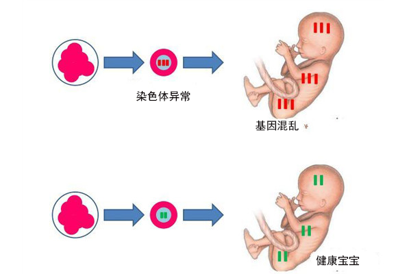 受精卵着床