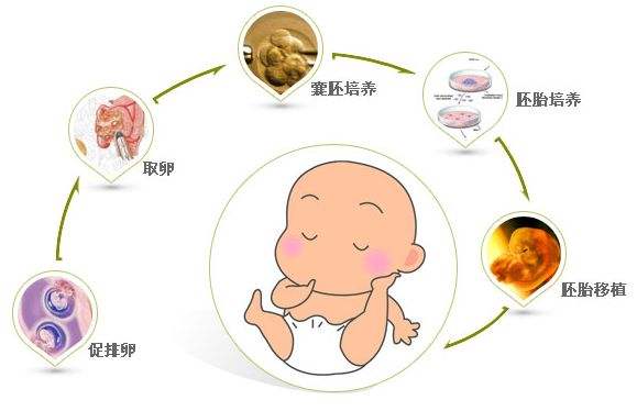 大连第三代试管婴儿