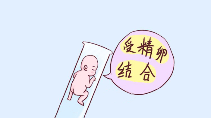 天津捐卵代怀