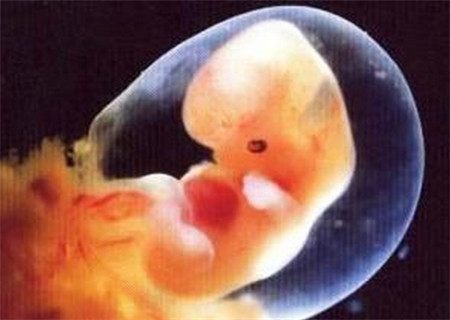 天津可捐献精子医院