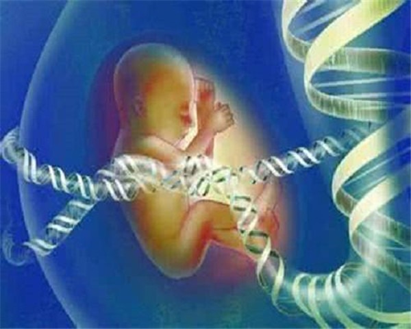 精子捐献